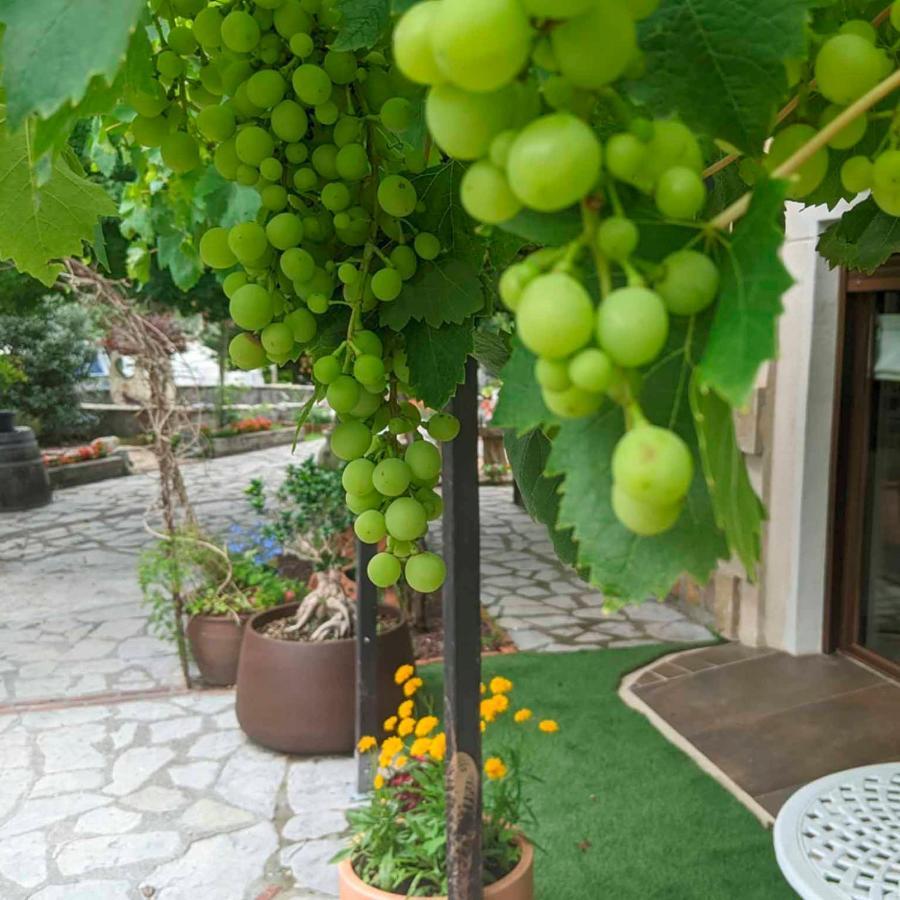 Casa Rural Bilbao Caserio Gondra Alquiler Habitaciones Mungia Εξωτερικό φωτογραφία